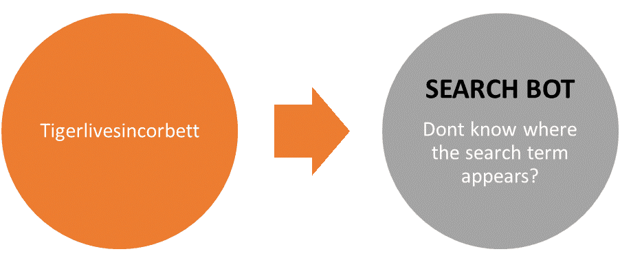 structured data markup